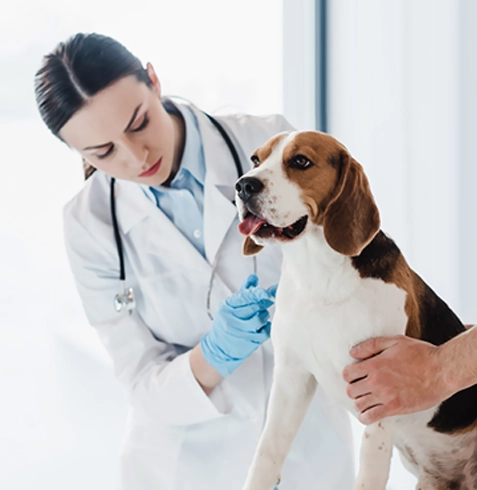 Ceylanpınar Veteriner