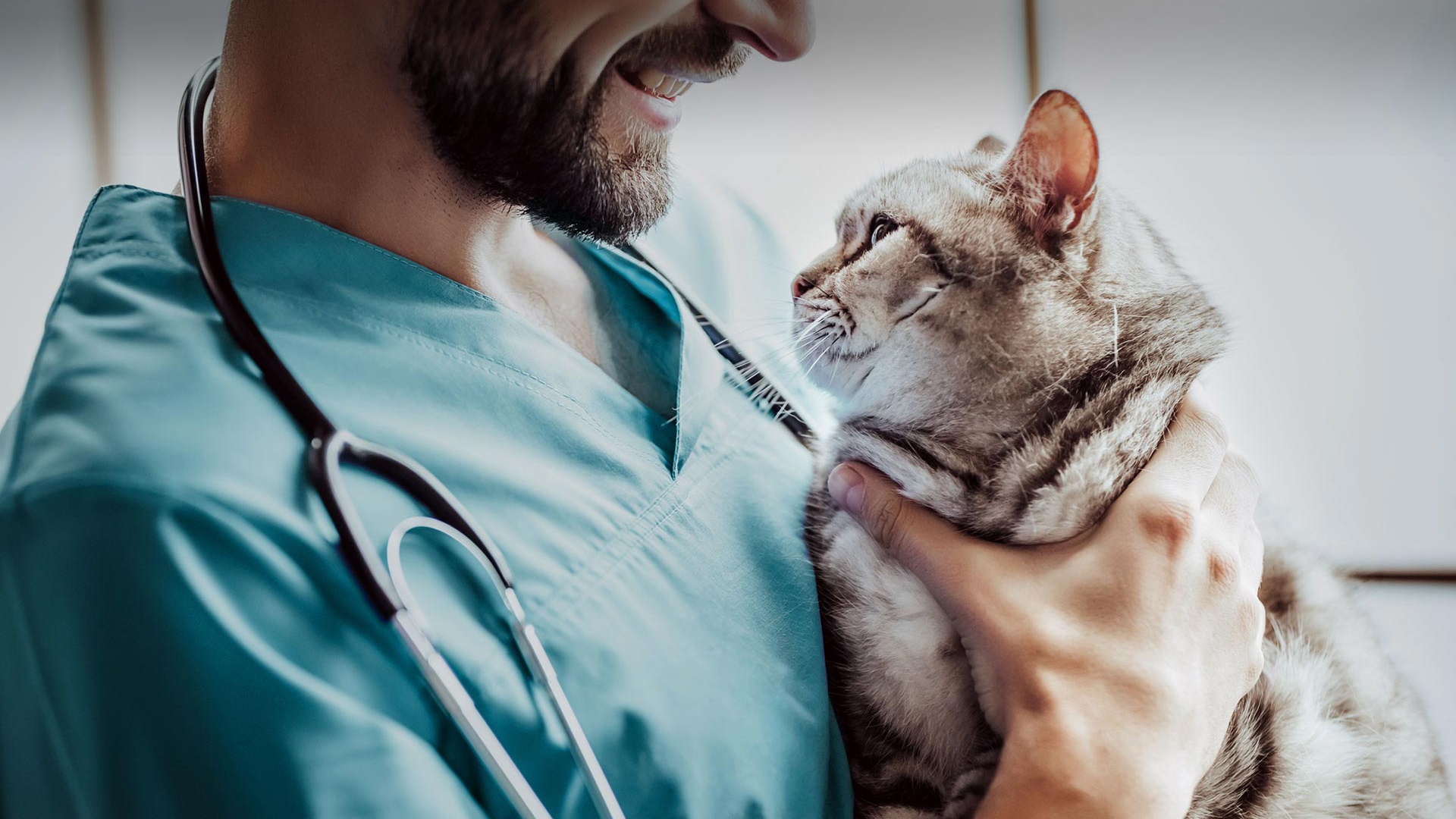 Ceylanpınar Veteriner